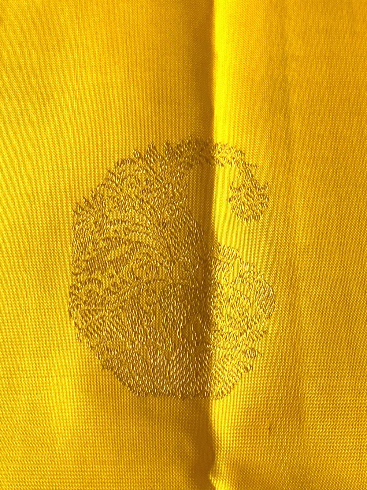 Haldi Ceremony Saree Kanchipuram Silk Saree for Women Wedding Sari Kanjeevaram