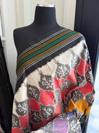 Multicolor Rainbow Floral Pochampally Ikat Silk Saree
