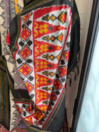 Multicolor Rainbow Floral Pochampally Ikat Silk Saree